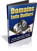Domains Into Dollars Image